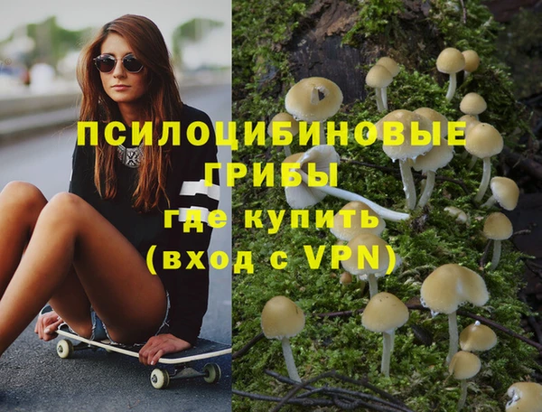 дмт Алексеевка