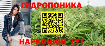 стаф Новозыбков