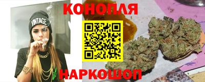 стаф Новозыбков