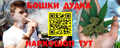 МДПВ Новокубанск