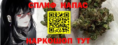 стаф Новозыбков