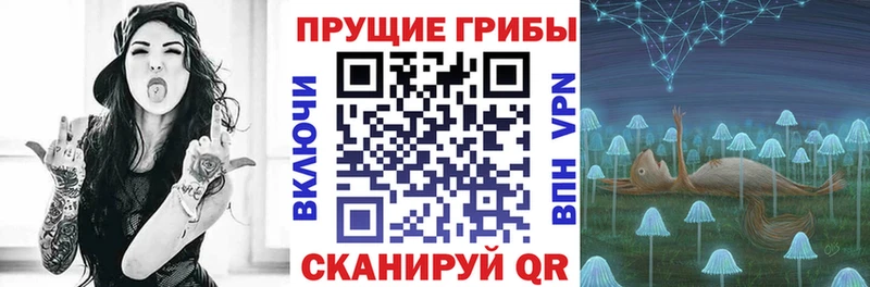 Псилоцибиновые грибы MAGIC MUSHROOMS  как найти наркотики  Урай 